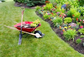 Gartenservice günstig in Wien, Niederösterreich und Burganland