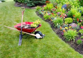 Rasenmähen und Rasenpflege